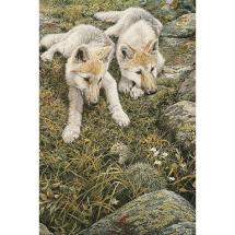 Children Of The Tundra Art Post Card