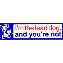 Iditarod Lead Dog Sticker