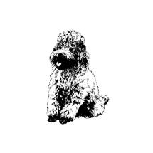 Poodle Sitting Rubber Stamp