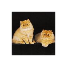 Persian Cat N° 3 Post Card 7