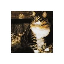 Tabby Cat N° 2 Post Card 7