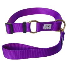 Special Mastiff O Ring Collar With Handle