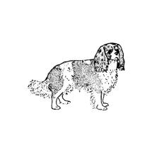 Cavalier King Charles Body Large Rubber Stamp