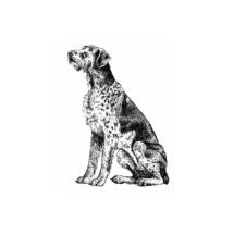 German Wirehaired Pointer Sitting Rubber Stamp