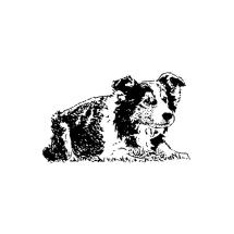 Border Collie Body Large Rubber Stamp