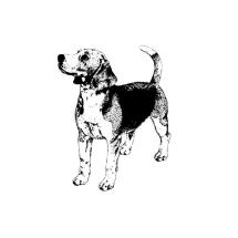 Beagle Body Rubber Stamp
