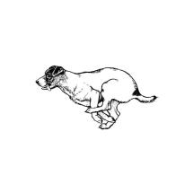 Jack Russell Smooth Hair Body Rubber Stamp