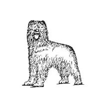 Briard Natural Ears Body Rubber Stamp