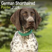 Calendar 2024 German Shortaired Pointer