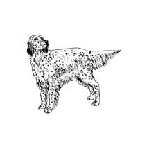 English Setter Body Rubber Stamp