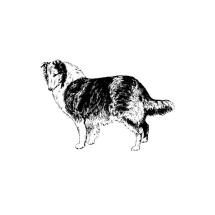 Collie Body Rubber Stamp
