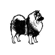 Keeshond Body Rubber Stamp
