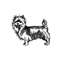 Silky Terrier Body Rubber Stamp
