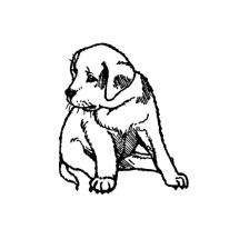 Labrador Puppy Sitting Rubber Stamp