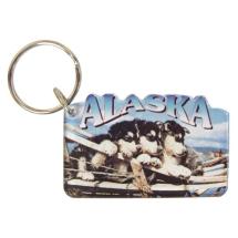 Alaska Resin Key Ring