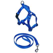 Small Dog Harness With Assorted Lead