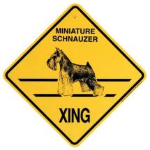 Miniature Schnauzer Cropped Ears Crossing Sign