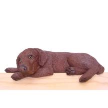 Chocolate Labrador Dog Topper
