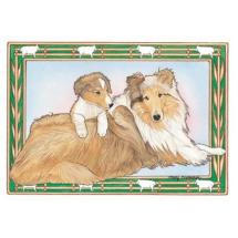 Collie Post Card