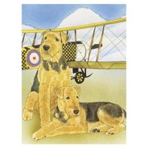 Airedale Terrier Post Card