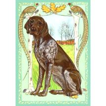 German Shorthaired Pointer Post Card