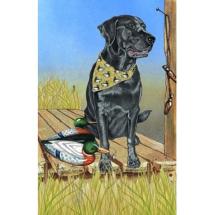Black Labrador Post Card