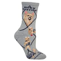 Silky Terrier Socks
