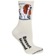 Basset Hound Socks N° 3