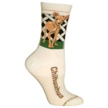 Chihuahua N° 4 Socks