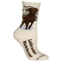 Labrador Chocolate Socks N° 2