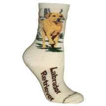 Labrador Yellow Socks N° 2