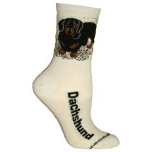 Dachshund Black Socks N° 2