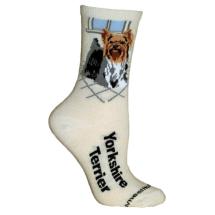 Yorkshire Terrier Socks N° 3