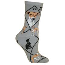 Italian Greyhound Socks
