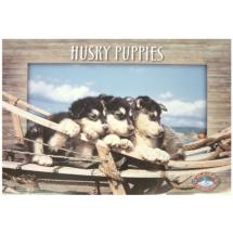 Husky Puppies Placemat