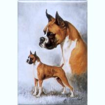 Boxer Cropped Ears Magnet