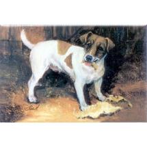 Jack Russell in Barn Magnet