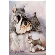 Schnauzer Cropped Ears Magnet