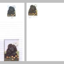 Poodle Black Notepad Gift Pack