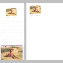 Rhodesian Ridgeback Notepad Gift Pack