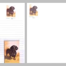 Dachshund Black and Tan Notepad Gift Pack