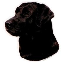 Labrador Black Sticker Head