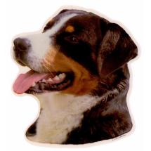 Appenzell Mountain Dog Sticker Head
