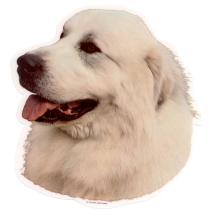 Pyrenean Mountain Dog Sticker Head