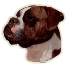 Boxer Uncropped Brindle And White Sticker Head