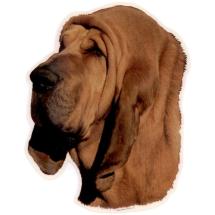 Bloodhound Sticker Head