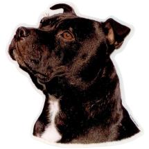 Staffordshire Bull Terrier Sticker Head