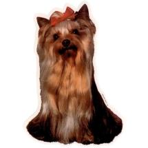 Yorkshire Terrier Sticker Head