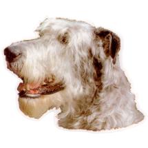 Irish Wolfhound Sticker Head