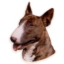 Bull Terrier Brindle Sticker Head